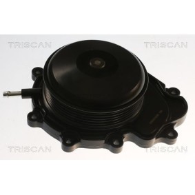 Acquista Pompa acqua da TRISCAN 8600 23019V a buon mercato per soli 174,10 €