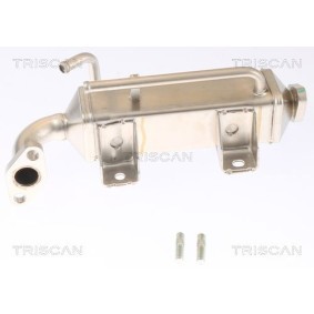 Comprar Enfriador EGR de TRISCAN 8813 16072 a bajo precio de 245,40 €