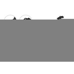 Compre Amortecedor da mala da STABILUS 444347 a um preço baixo por 25,84 €