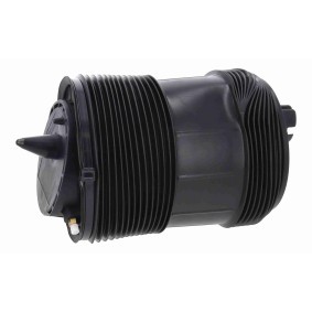 Osta Ilmajousi VEMO:llä V10-50-0022 edullisesti hintaan 452,46 €