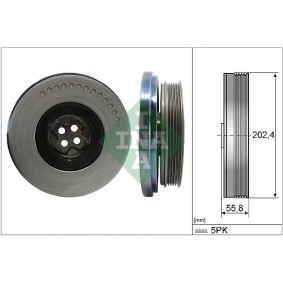 Achetez des Poulie damper de chez INA en ligne pour Sprinter 3.5-t Camion plate-forme/Châssis (907, 910) à prix modérés
