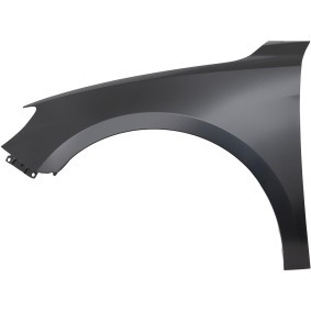 Acquista Parafango da DIEDERICHS online per A1 Sportback (GBA) a prezzi moderati