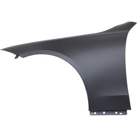 Compre Guardabarros de DIEDERICHS online para Clase C Sedán (W206) a precios moderados