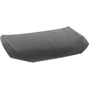 Comprar Capó de DIEDERICHS 7433500 a bajo precio de 315,32 €