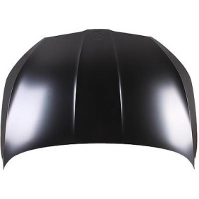 Comprar Capó de DIEDERICHS 7808000 a bajo precio de 252,40 €