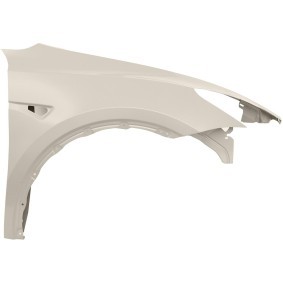 Compre Guardabarros de DIEDERICHS online para Model Y (5YJY) a precios moderados