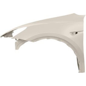Compre Guardabarros de DIEDERICHS online para Model Y (5YJY) a precios moderados