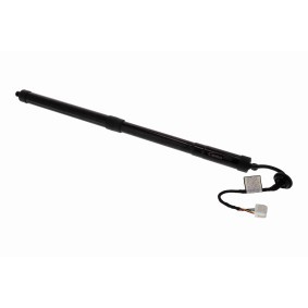 Köp Elmotor, baklucka av ACKOJA A38-55-0004 till det låga priset 3301,45 kr
