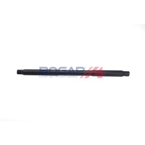 Heckklappendämpfer C5134119 von BOGAP günstig für 59,07 € online kaufen