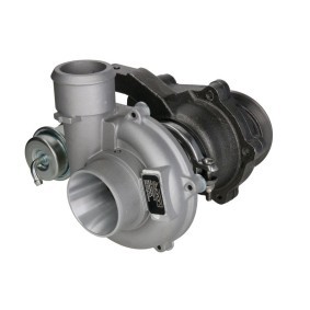 Achetez des Turbocompresseur EVORON EVTC0170 à prix pour 629,36 €