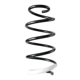 Fahrwerksfeder GKNW10131 von SPIDAN günstig für 82,30 € online kaufen