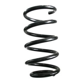Fahrwerksfeder GKNW10134 von SPIDAN günstig für 81,11 € online kaufen