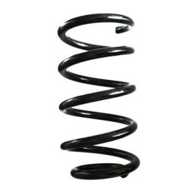 Fahrwerksfeder GKNW10135 von SPIDAN günstig für 81,11 € online kaufen