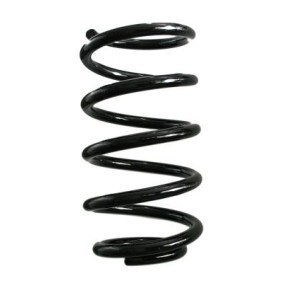 Fahrwerksfeder GKNW10137 von SPIDAN günstig für 83,58 € online kaufen