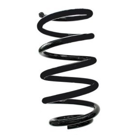 Fahrwerksfeder GKNW10139 von SPIDAN günstig für 73,11 € online kaufen