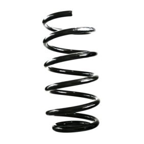 Fahrwerksfeder GKNW10142 von SPIDAN günstig für 79,27 € online kaufen
