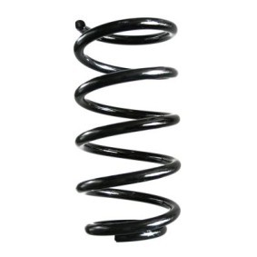 Fahrwerksfeder GKNW10143 von SPIDAN günstig für 79,92 € online kaufen