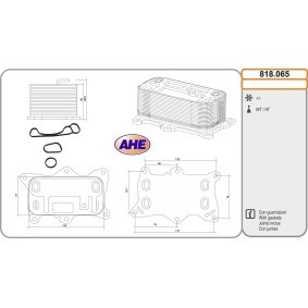 Compre Radiador de óleo de AHE online para CLS (C257) a preços moderados