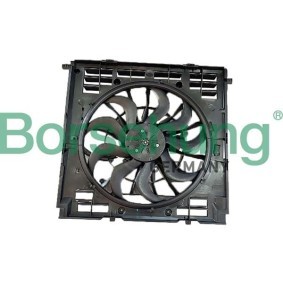 Acquista Ventola radiatore da Borsehung B11270 a buon mercato per soli 313,17 €