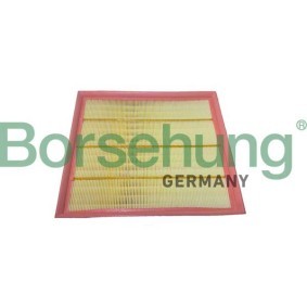 Acquista Filtro aria da Borsehung B12443 a buon mercato per soli 16,17 €
