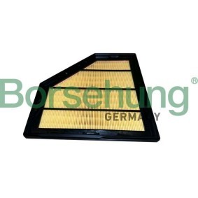 Acquista Filtro aria da Borsehung B12452 a buon mercato per soli 18,11 €
