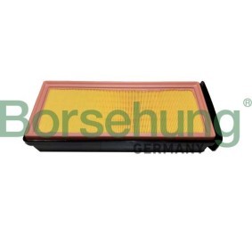 Acquista Filtro aria da Borsehung B12459 a buon mercato per soli 26,46 €