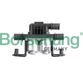 Acquista Valvola regolazione refrigerante da Borsehung B12580 a buon mercato per soli 176,36 €