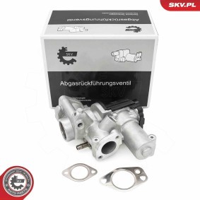 Achetez des Vanne EGR ESEN SKV 14SKV253 à prix pour 160,77 €