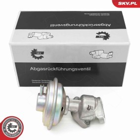 Achetez des Vanne EGR ESEN SKV 14SKV258 à prix pour 64,38 €
