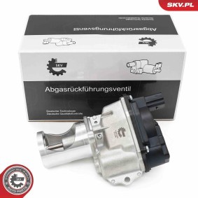 Compre Válvula EGR da ESEN SKV 14SKV274 a um preço baixo por 168,54 €