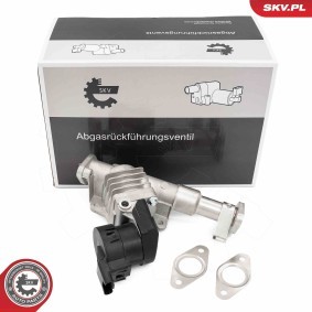 Compre Válvula EGR da ESEN SKV 14SKV287 a um preço baixo por 212,98 €