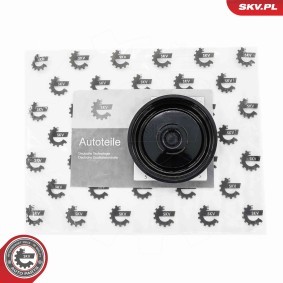 Achetez des Reniflard d'huile de chez ESEN SKV en ligne pour Transporter T5 Camion plate-forme/Châssis (7JD, 7JE, 7JL, 7JY, 7JZ, 7FD) à prix modérés