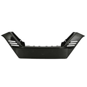 Comprar Protector para parachoques de BLIC 5513-00-1617923P a bajo precio de 76,39 €
