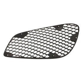 Zier- / Schutzleiste, Kühlergitter 6502-07-3529913PP von BLIC günstig für 11,72 € online kaufen