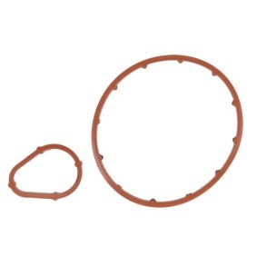 Comprar Kit de juntas, bomba de vacío de AKUSAN TR 1369 a bajo precio de 15,74 €