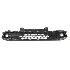 Acquista Griglia paraurti da PRASCO HN4522120 a buon mercato per soli 196,88 €