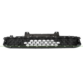 Acquista Griglia paraurti da PRASCO HN4522121 a buon mercato per soli 187,75 €