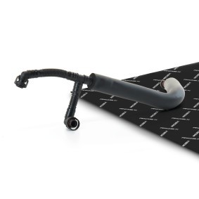 Compre Tubo flexível, respiro do cárter da cambota de RIDEX online para X1 (E84) a preços moderados