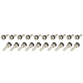 Achetez des Soupape, système de contrôle de pression des pneus PROFITOOL 0XVA TR416 à prix pour 46,34 €