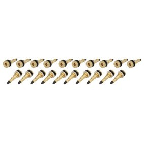 Achetez des Soupape, système de contrôle de pression des pneus PROFITOOL 0XVA TR618A à prix pour 55,06 €
