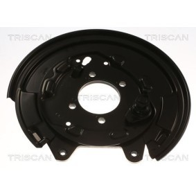 Achetez des Flasque de frein TRISCAN 8125 13221 à prix pour 82,24 €