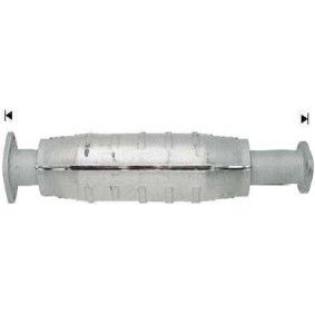 Katalysator RK-917 von VEGAZ günstig für 195,50 € online kaufen