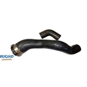 Comprar Tubo flexible de aire de sobrealimentación de BUGIAD 82567 a bajo precio de 183,41 €