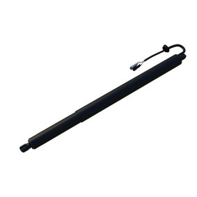 Compre Amortecedor da mala de DIEDERICHS online para X5 (G05) a preços moderados