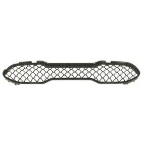 Acquista Griglia paraurti da BLIC 6502-07-3536921P a buon mercato per soli 60,96 €