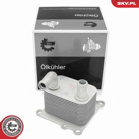 Compre Enfriador de aceite de ESEN SKV online para Focus Mk1 Sedán (DFW, DNW) a precios moderados