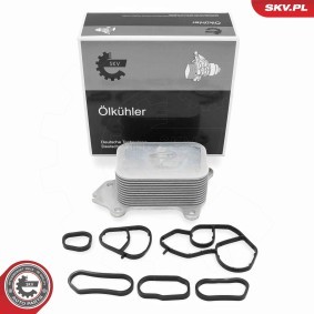 Acquista Radiatore olio motore da ESEN SKV 31SKV381 a buon mercato per soli 24,26 €