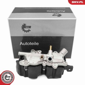 Acquista Separatore olio, Ventilazione monoblocco da ESEN SKV 31SKV417 a buon mercato per soli 122,49 €