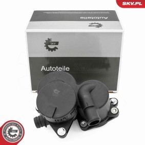 Acquista Separatore olio, Ventilazione monoblocco da ESEN SKV 31SKV424 a buon mercato per soli 94,41 €