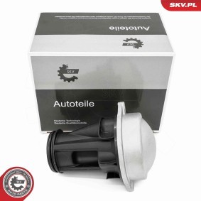 Comprar Separador de aceite, aireación cárter aceite de ESEN SKV 31SKV426 a bajo precio de 29,13 €